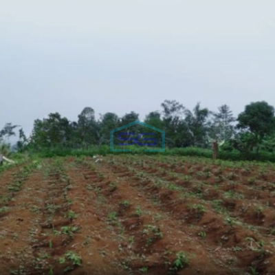 Dijual Tanah Desa Mangunjaya Ciambar Sukabumi Luas Tanah 300000m2
