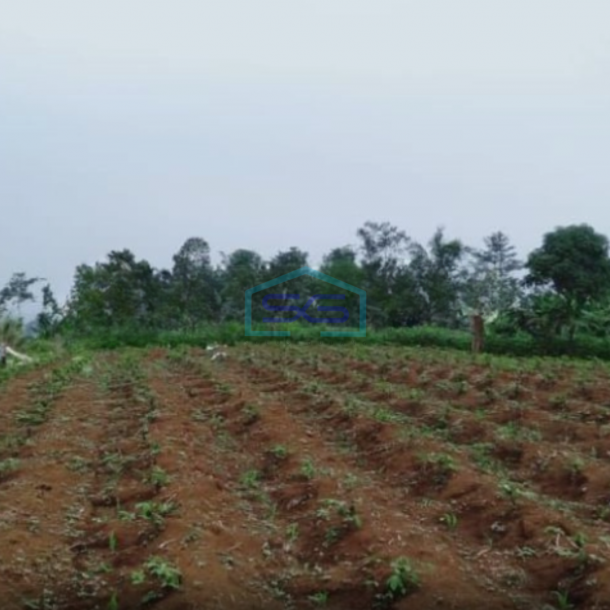 Dijual Tanah Desa Mangunjaya Ciambar Sukabumi Luas Tanah 300000m2-1