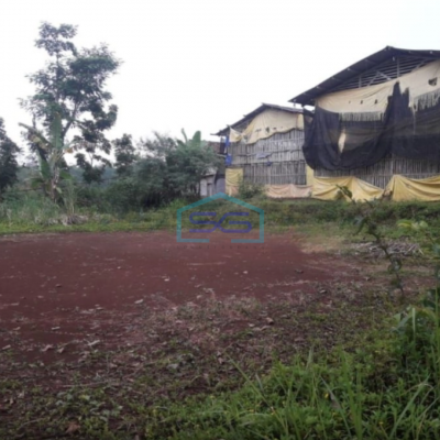 Dijual Tanah Lokasi Bagus Darmareja Nagrak Sukabumi Luas Tanah 35000m2