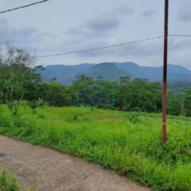 Dijual Tanah Leuwiang Lewisadeng Bogor Luas Tanah 120000m2-4