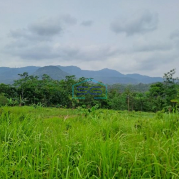 Dijual Tanah Leuwiang Lewisadeng Bogor Luas Tanah 120000m2-3