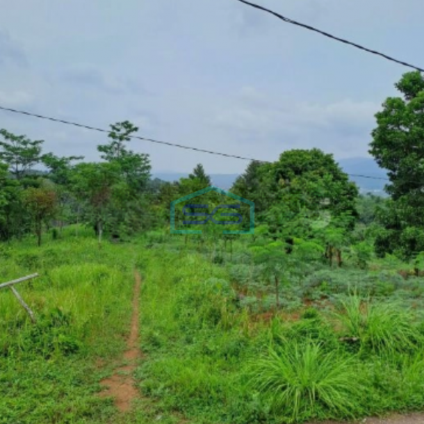 Dijual Tanah Leuwiang Lewisadeng Bogor Luas Tanah 120000m2-2