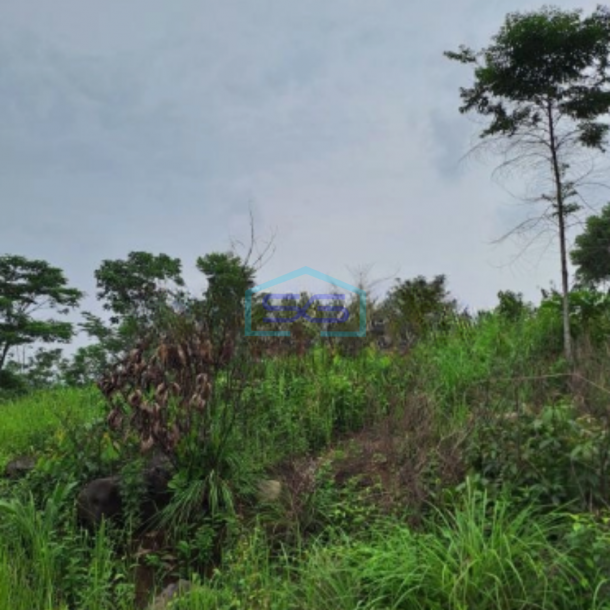 Dijual Tanah Leuwiang Lewisadeng Bogor Luas Tanah 120000m2-1