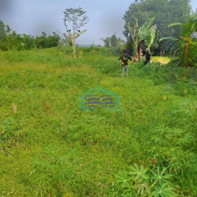 Dijual Tanah di Sentul Cibodas Rumpin Bogor Luas Tanah 10000m2