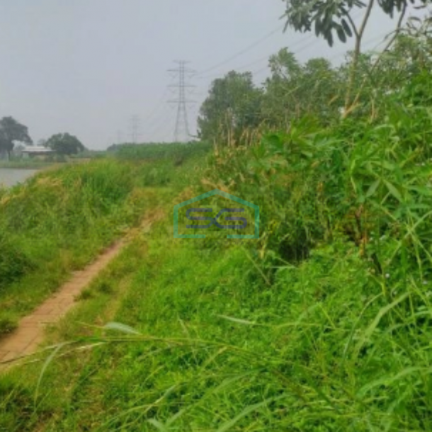 Dijual Tanah Di Ciseeng Bogor Luas Tanah 1200m2 SHM-1