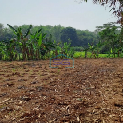 Dijual Tanah di Daerah Cibodas Rumpin Bogor Luas 1000m2