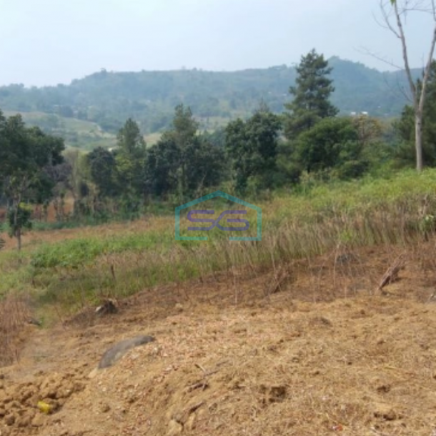 Dijual Tanah di Desa Gunung Geulis Sukaraja Bogor Luas Tanah 55000m2-1