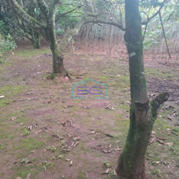 Dijual Tanah di Cibeteng Udik Ciseeng Bogor Luas Tanah 2000m2-1