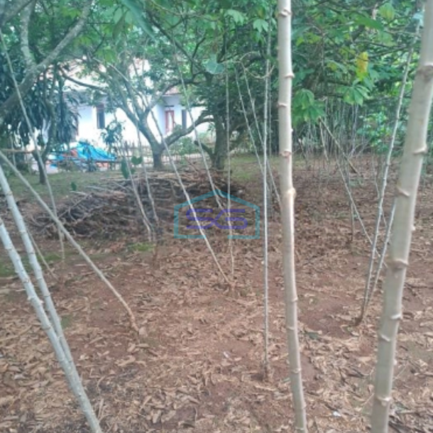 Dijual Tanah di Cibeteng Udik Ciseeng Bogor Luas Tanah 2000m2-4