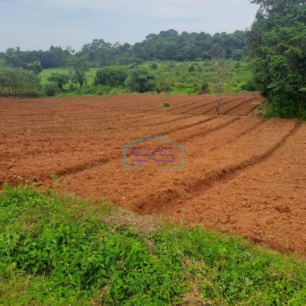 Dijual Tanah Di Sukaresmi Sukamakmur Bogor Luas Tanah 8000m2-2