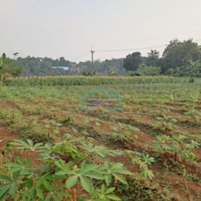 Dijual Tanah Rancabungur Bogor Jawa Barat Luas Tanah 25000m2