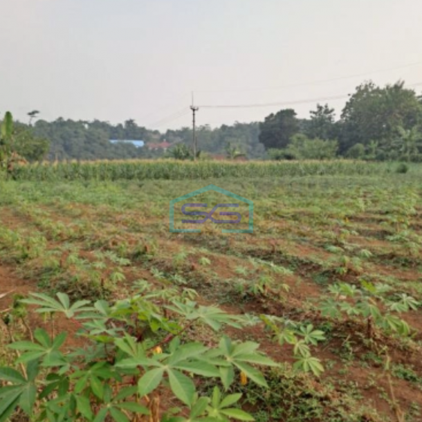 Dijual Tanah Rancabungur Bogor Jawa Barat Luas Tanah 25000m2-3