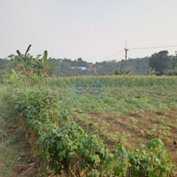 Dijual Tanah Rancabungur Bogor Jawa Barat Luas Tanah 25000m2-1