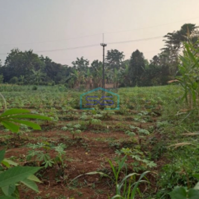 Dijual Tanah Rancabungur Bogor Jawa Barat Luas Tanah 25000m2