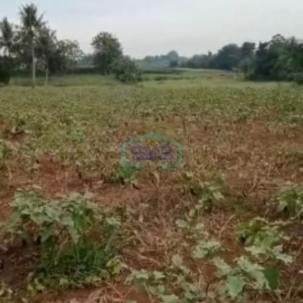 Dijual Tanah Di Jalan Raya Ciseeng Bogor Luas Tanah 50000m2-4