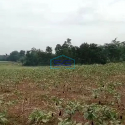 Dijual Tanah Di Jalan Raya Ciseeng Bogor Luas Tanah 50000m2