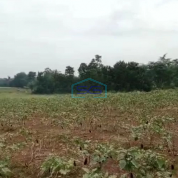 Dijual Tanah Di Jalan Raya Ciseeng Bogor Luas Tanah 50000m2-3