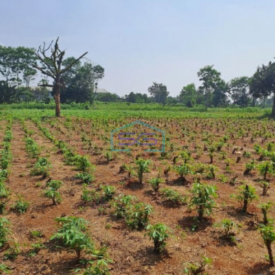 Dijual Tanah Di Jalan Raya Ciseeng Bogor Luas Tanah 50000m2