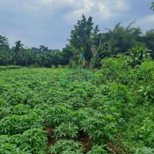 Dijual Tanah di Area Mekarsari Rumpin Bogor Luas 1000m2 SHM-3