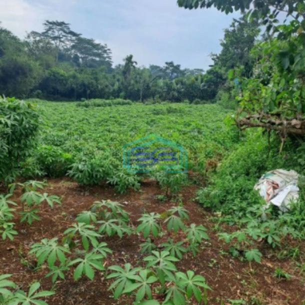 Dijual Tanah di Area Mekarsari Rumpin Bogor Luas 1000m2 SHM-1