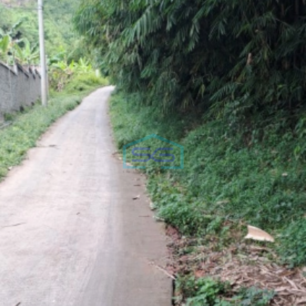 Dijual Tanah di Desa Rabak Rumpin Bogor Jawa Barat Luas Tanah 20000m2-1