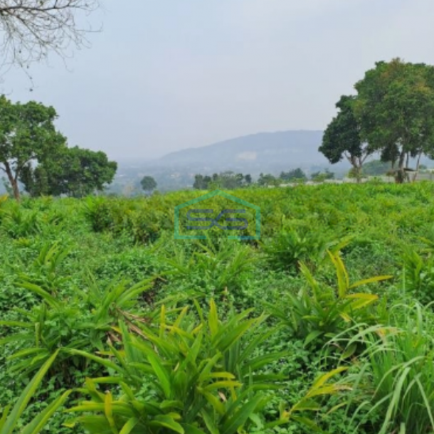 Dijual Tanah Murah Desa Cidokom Mekar jaya Rumpin Bogor Luas Tanah 10159m2-2