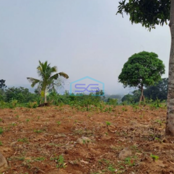 Dijual Tanah Murah Desa Cidokom Mekar jaya Rumpin Bogor Luas Tanah 10159m2-1