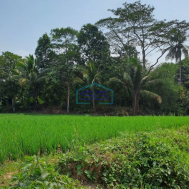 Dijual Tanah Lokasi di Pabuaran Bogor Jawa Barat LT 1200m2-2