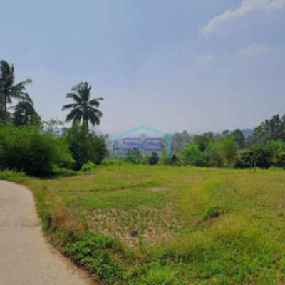 Dijual Tanah Lokasi di Pabuaran Bogor Jawa Barat LT 1200m2