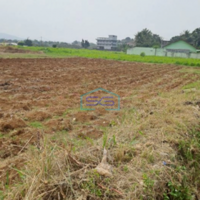 Dijual Tanah Jalan Atang Sanjaya Rancabungur Bogor Luas Tanah 90000m2