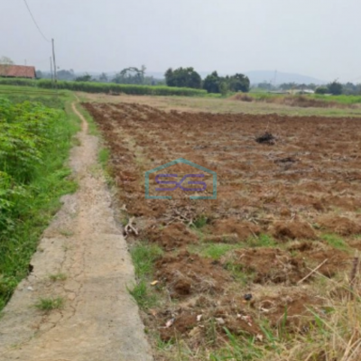 Dijual Tanah Jalan Atang Sanjaya Rancabungur Bogor Luas Tanah 90000m2