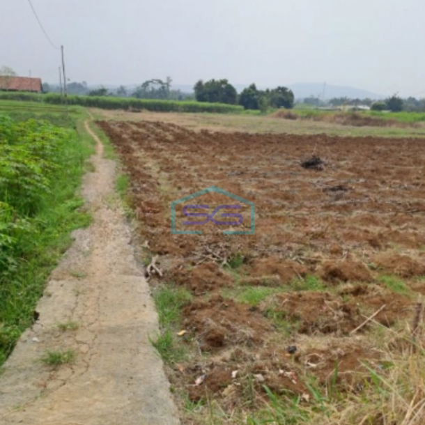 Dijual Tanah Jalan Atang Sanjaya Rancabungur Bogor Luas Tanah 90000m2-2