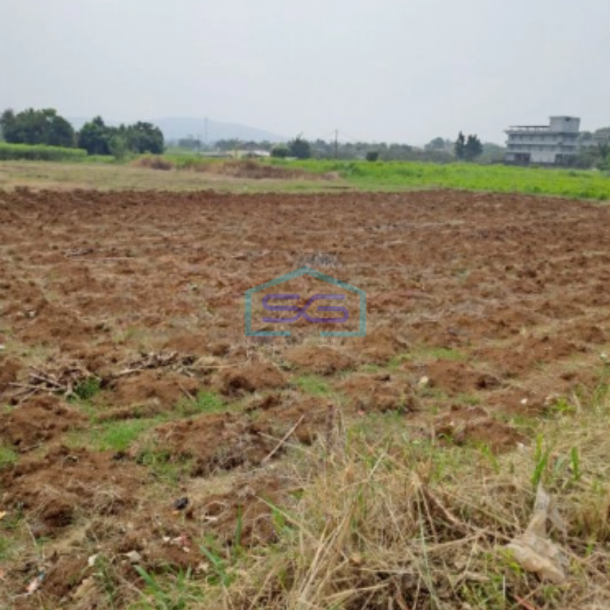 Dijual Tanah Jalan Atang Sanjaya Rancabungur Bogor Luas Tanah 90000m2-1