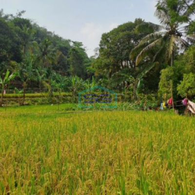 Dijual Tanah Sangat Bagus Luas 11000m2 Desa Rabak Rumpin Bogor