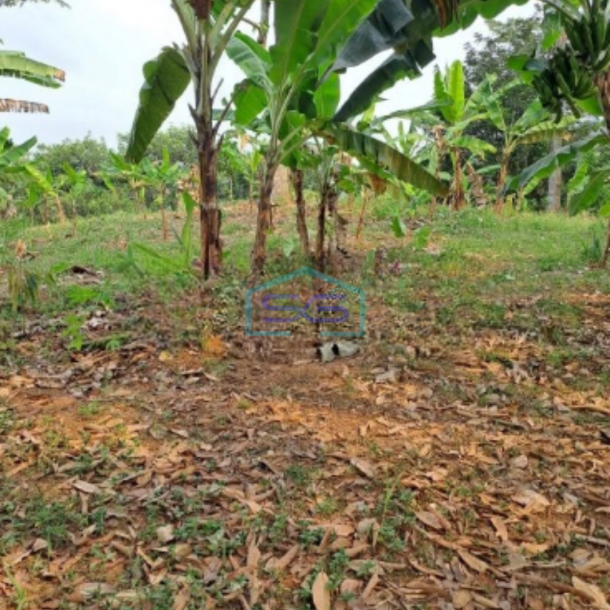 Dijual Tanah Sangat Bagus Luas 11000m2 Desa Rabak Rumpin Bogor-3