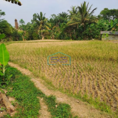 Dijual Tanah Sangat Bagus Luas 11000m2 Desa Rabak Rumpin Bogor