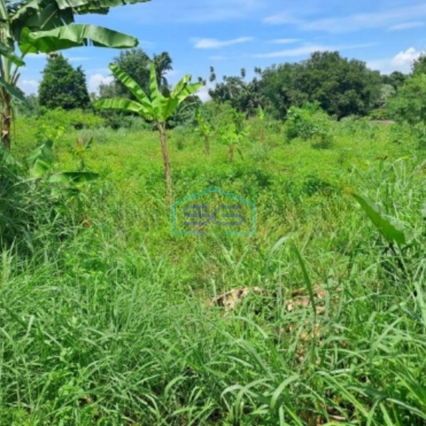 Dijual Tanah Lokasi di Sentul Alternatif Bogor Luas Tanah 15000m2-2