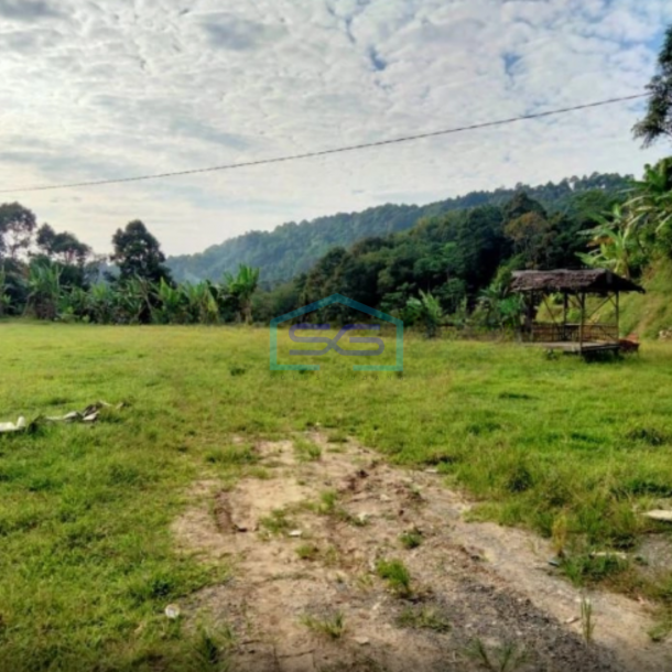 Dijual Tanah di Desa Cibeber Leuwiliang Bogor Luas Tanah 30000m2-1