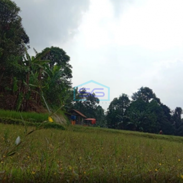 Dijual Tanah di Desa Cibeber Leuwiliang Bogor Luas Tanah 30000m2-3