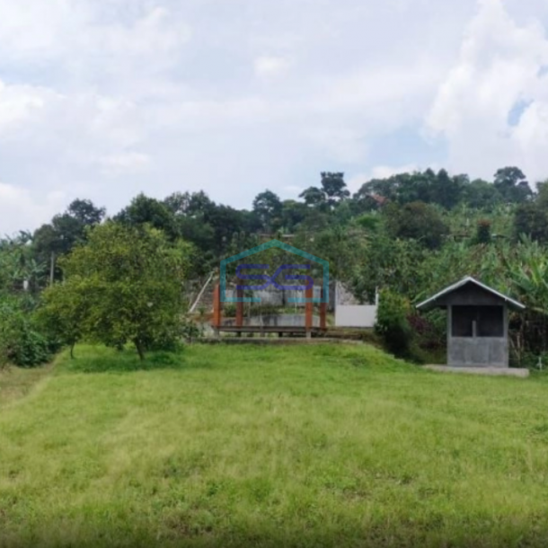 Dijual Tanah di Desa Cibeber Leuwiliang Bogor Luas Tanah 30000m2-2