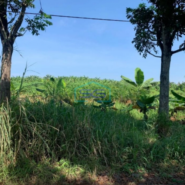 Dijual Tanah di Cilaku Cianjur Luas Tanah 270000m2-3