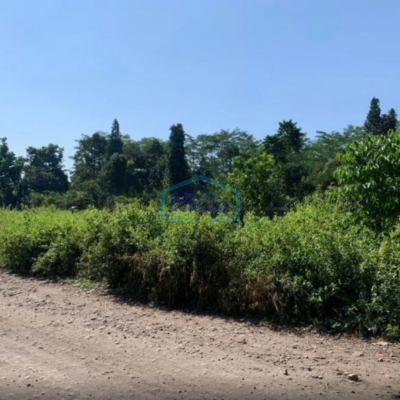 Dijual Tanah di Cilaku Cianjur Luas Tanah 270000m2