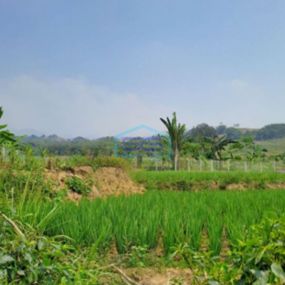 Dijual Tanah Darat Lokasi di Cigombong Bogor Luas Tanah 4 Hektar