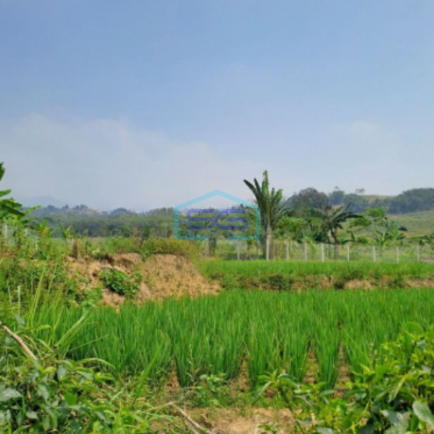 Dijual Tanah Darat Lokasi di Cigombong Bogor Luas Tanah 4 Hektar-4