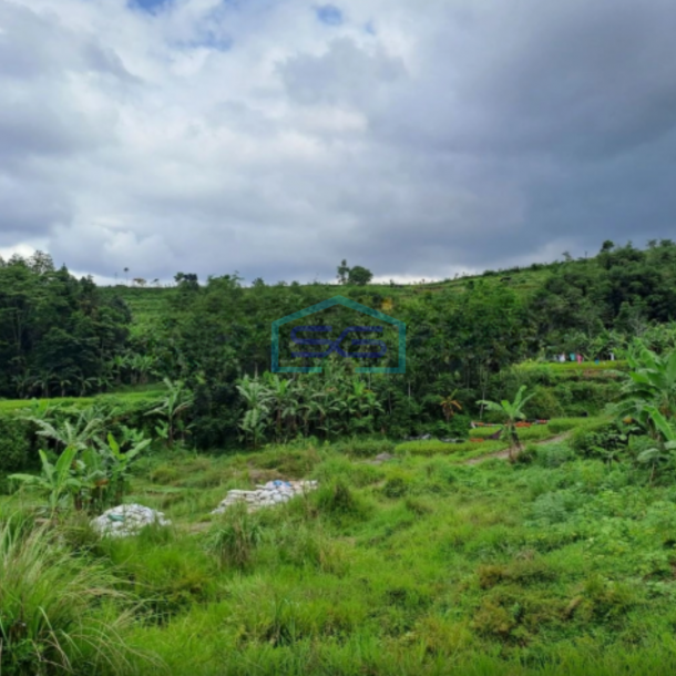 Dijual Tanah Darat Lokasi di Cigombong Bogor Luas Tanah 4 Hektar-3