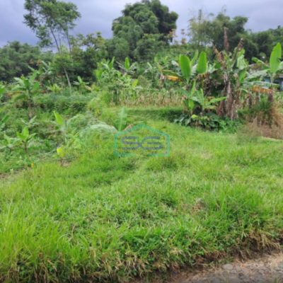 Dijual Tanah Darat Lokasi di Cigombong Bogor Luas Tanah 4 Hektar