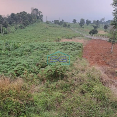 Dijual Tanah di Desa Hambalang Citeureup Bogor Luas Tanah 10500m2