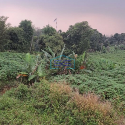 Dijual Tanah di Desa Hambalang Citeureup Bogor Luas Tanah 10500m2