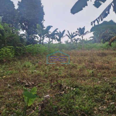 Dijual Tanah di Desa Ciambar Sukabumi Luas Tanah 5000m2