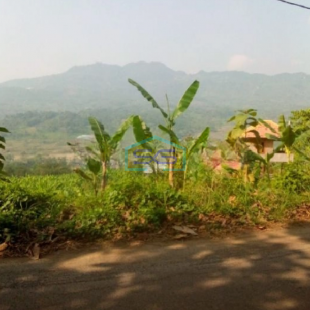 Dijual Tanah di Desa Cibadak Tanjung Sari Bogor Timur LT 10 Hektar-4